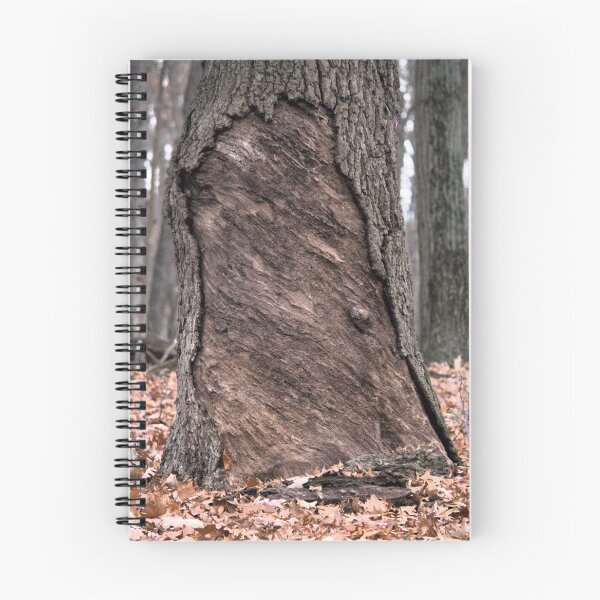 Item preview, Forest creature door designed and sold by ESK-Kalevala.