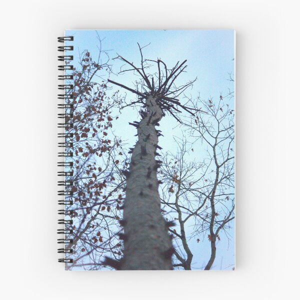 Item preview, Bare pine against the sky designed and sold by ESK-Kalevala.