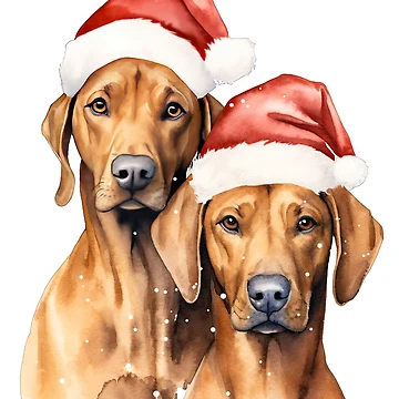 Artwork thumbnail, Christmas Rhodesian Ridgeback by anetazakova