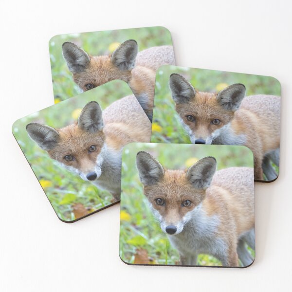 Item preview, Portrait of a red fox, Vulpes vulpes designed and sold by Zosimus.