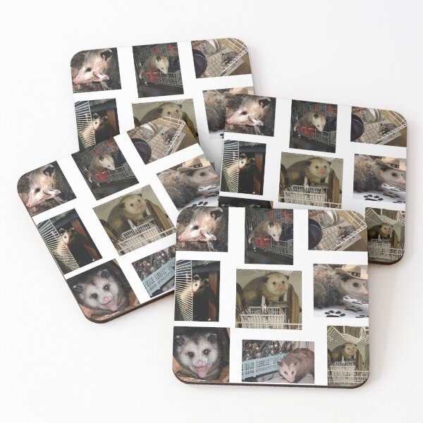 Item preview, Dishwasher Possum designed and sold by raspeed.