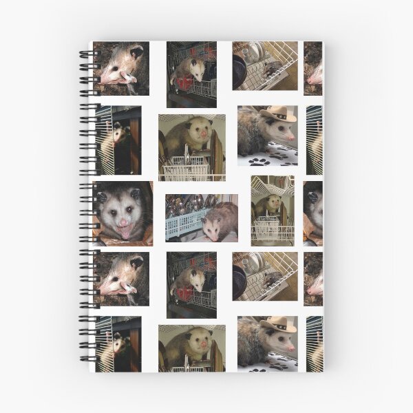 Item preview, Dishwasher Possum designed and sold by raspeed.