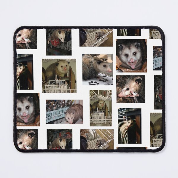 Item preview, Dishwasher Possum designed and sold by raspeed.