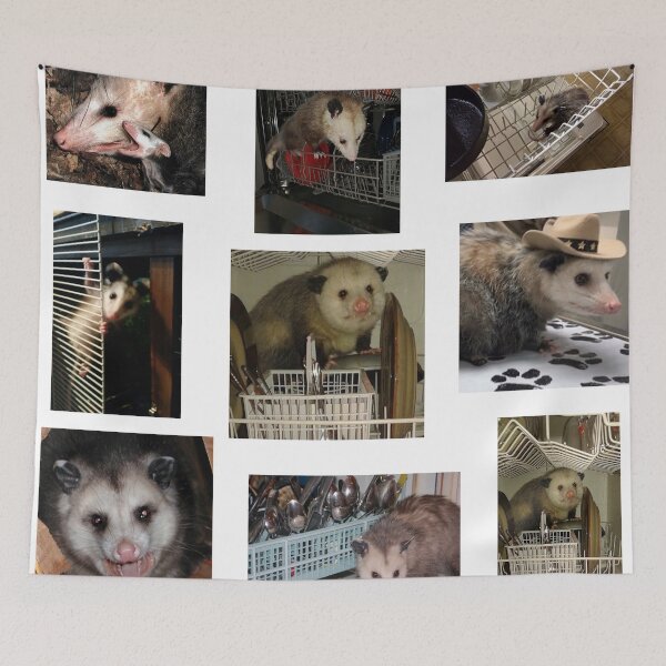 Item preview, Dishwasher Possum designed and sold by raspeed.