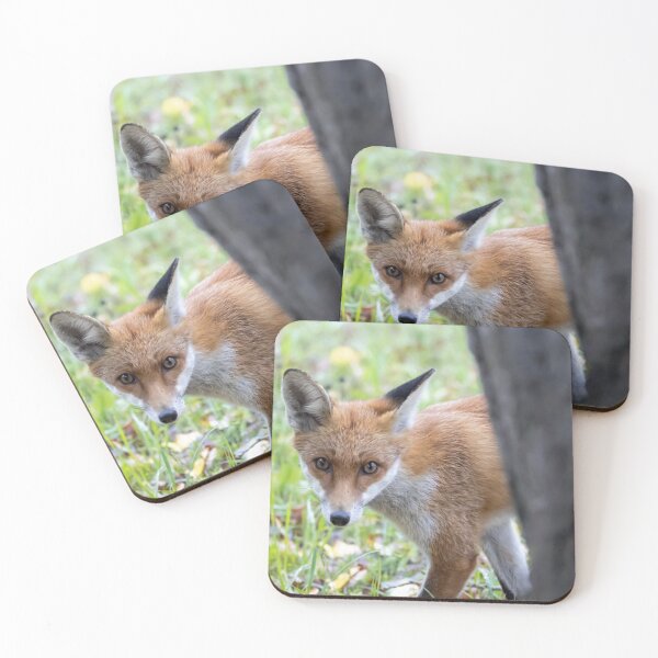 Item preview, Red fox, Vulpes vulpes designed and sold by Zosimus.