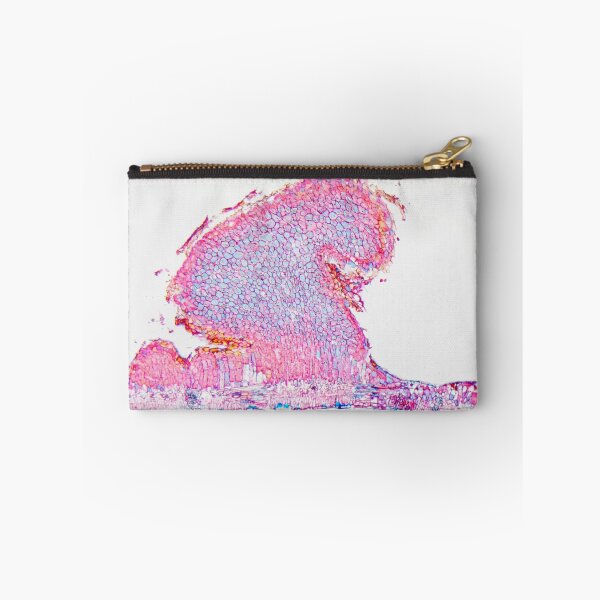 Item preview,  Black rust, puccinia graminis, on a barberry leaf under the microscope designed and sold by Zosimus.