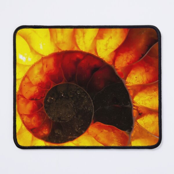 Item preview, Polished section of an Ammonite with background illumination designed and sold by Zosimus.