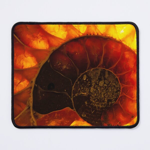 Item preview, Polished section of an Ammonite with background illumination designed and sold by Zosimus.