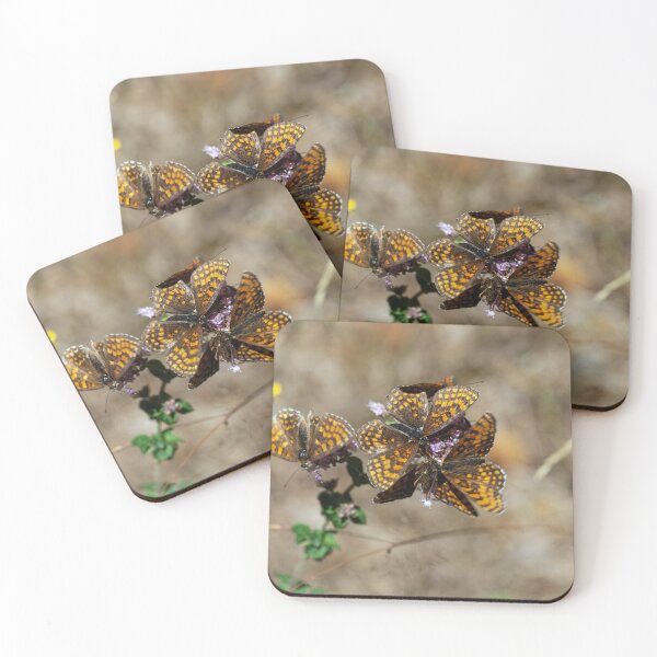 Item preview, Group of Heath Fritillary butterflies, Melitaea athalia designed and sold by Zosimus.