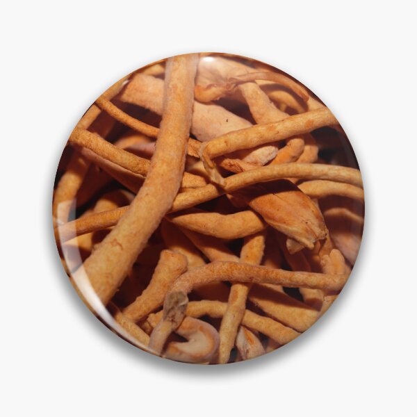 Item preview, Macro photo of caterpillar fungi, Ophiocordyceps sinensis designed and sold by Zosimus.