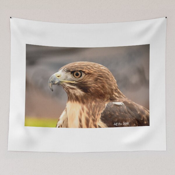 Item preview, Red-Tailed Hawk (Buteo,jamaicensis) designed and sold by Jeff Ore.