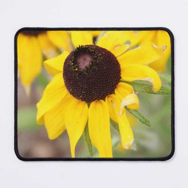 Item preview, flowers gather together designed and sold by NatureDogRealms.