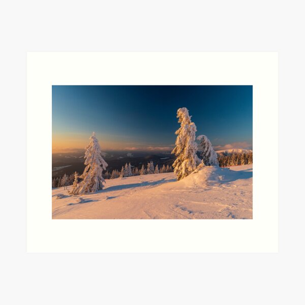 Sapins sous la neige au sommet du Tanet Impression artistique