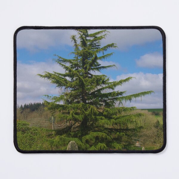 Item preview, Churchyard Tree, Rattery, Devon UK designed and sold by lezvee.