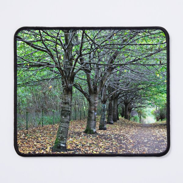 Item preview, Autumn Leaves designed and sold by tomg.