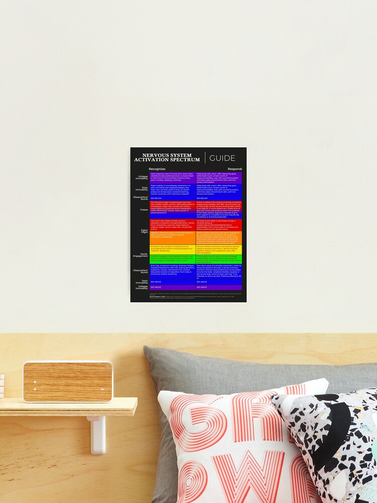 Thumbnail 1 of 3, Photographic Print, Nervous System Activation Spectrum Guide (Black) designed and sold by lightsomatic.