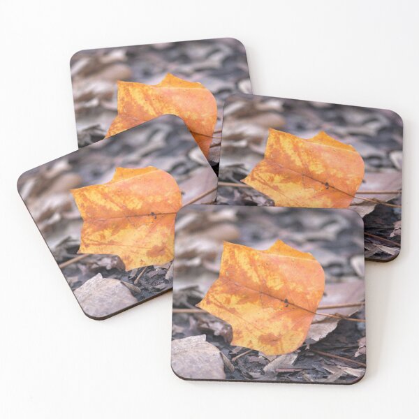 Item preview, Tulip tree leaf in November designed and sold by ESK-Kalevala.