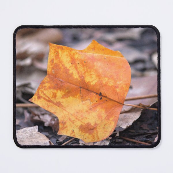 Item preview, Tulip tree leaf in November designed and sold by ESK-Kalevala.