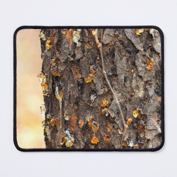 Item preview, Sap after a controlled burn designed and sold by ESK-Kalevala.