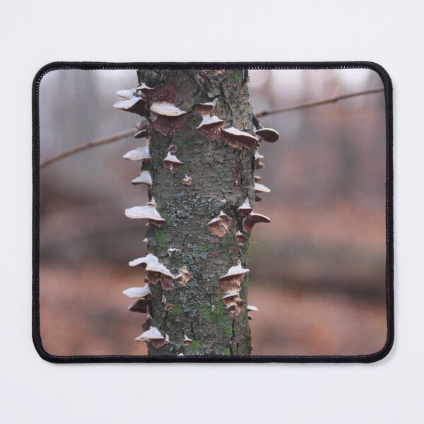 Item preview, Mushrooms on a small tree designed and sold by ESK-Kalevala.