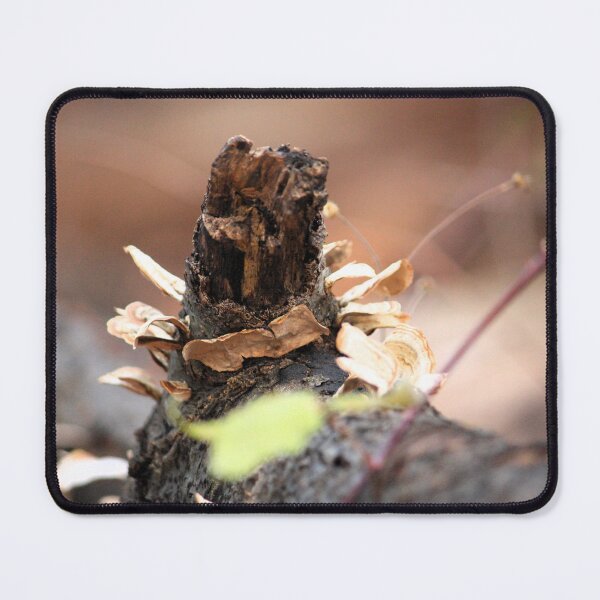 Item preview, Mushrooms on fallen log designed and sold by ESK-Kalevala.