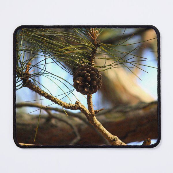 Item preview, Pine twigs in winter designed and sold by ESK-Kalevala.