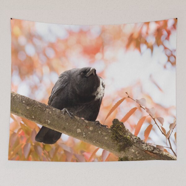 Item preview, Crow of Autumn designed and sold by DWMMPhotography.