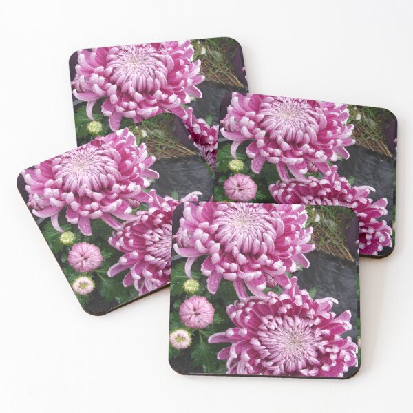 Item preview, Chrysanthemum Flower Pink designed and sold by Sarah  Rajkotwala.