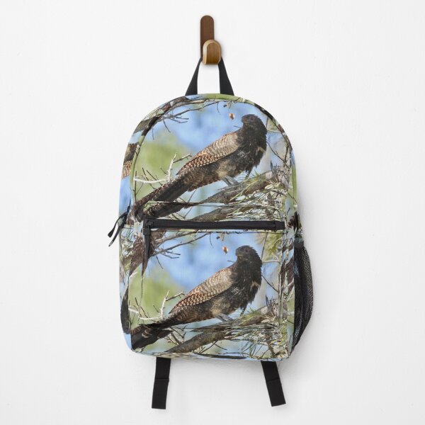Item preview, Pheasant Coucal ( Woop Woop Bird) designed and sold by Mark Grimsley.