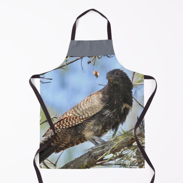 Item preview, Pheasant Coucal ( Woop Woop Bird) designed and sold by Mark Grimsley.