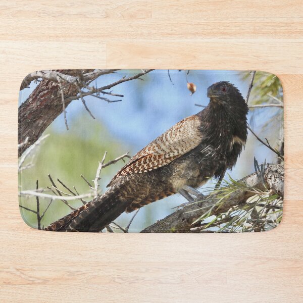 Item preview, Pheasant Coucal ( Woop Woop Bird) designed and sold by Mark Grimsley.