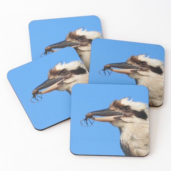 Item preview, Kookaburra's lunch spider designed and sold by Mark Grimsley.