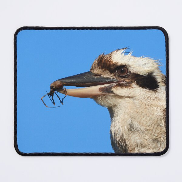 Item preview, Kookaburra's lunch spider designed and sold by Mark Grimsley.