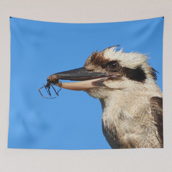 Item preview, Kookaburra's lunch spider designed and sold by Mark Grimsley.