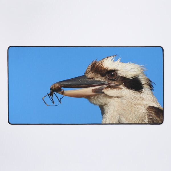 Item preview, Kookaburra's lunch spider designed and sold by Mark Grimsley.