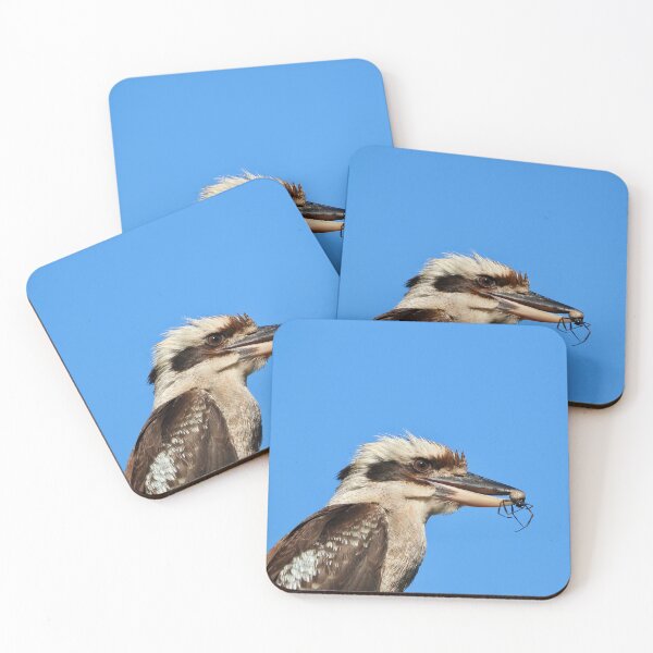 Item preview, Sipder for lunch Kookaburra designed and sold by Mark Grimsley.
