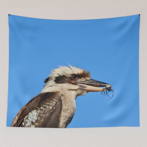 Item preview, Sipder for lunch Kookaburra designed and sold by Mark Grimsley.