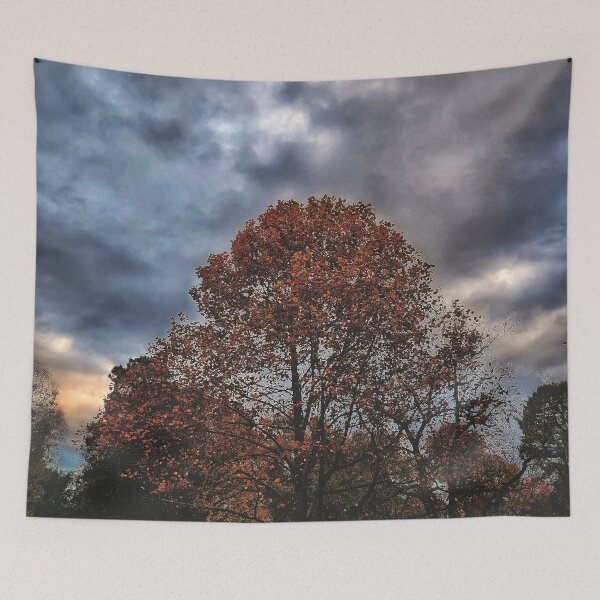 Item preview, Beautiful Dark Autumn Cemetery Landscape Photograph designed and sold by TwistedP-Photos.