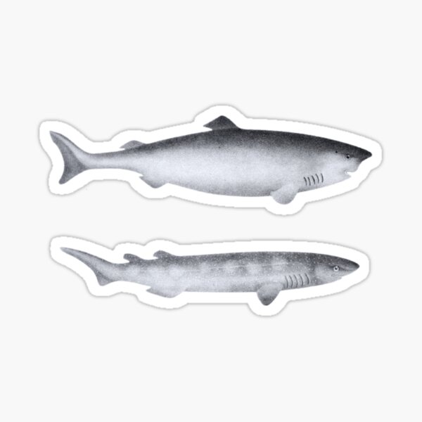 Item preview, Crafting Excellence: Unraveling the Unique Flavors of Greenland Shark," designed and sold by Obinne.