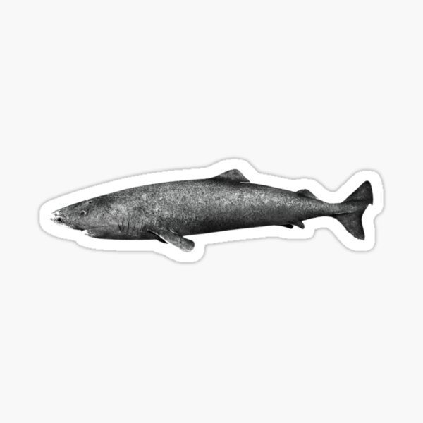 Item preview, Crafting Excellence: Unraveling the Unique Flavors of  whale shark tattoo," designed and sold by Obinne.