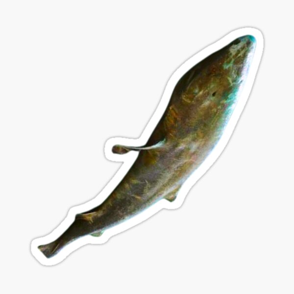 Item preview, "Crafting Excellence: Unraveling the Unique Flavors of Greenland Shark" designed and sold by Obinne.