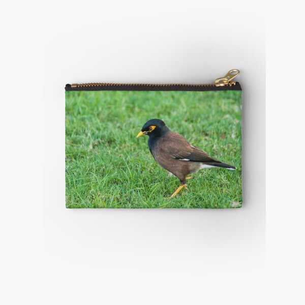 Item preview, Common Myna designed and sold by KensLensDesigns.
