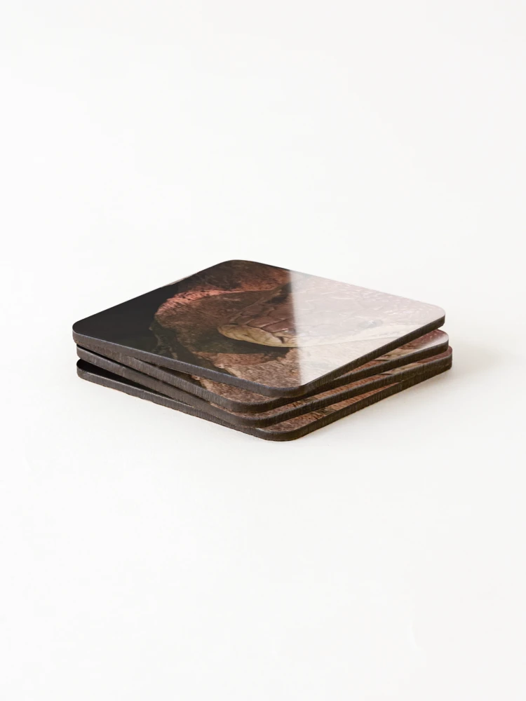 Thumbnail 4 of 5, Coasters (Set of 4), Olive python designed and sold by Tcox91.