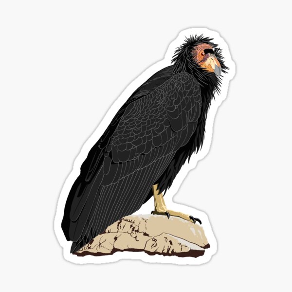 California Condor (support the Los Angeles Zoo) Sticker