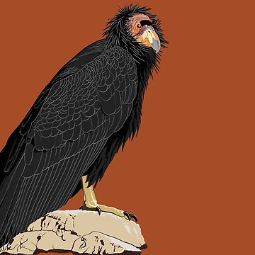 Artwork thumbnail, California Condor (support the Los Angeles Zoo) by BennuBirdy