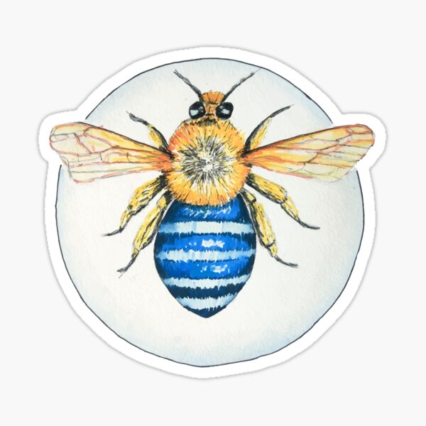 Save the Native Bees Sticker – Blue Aster Studio