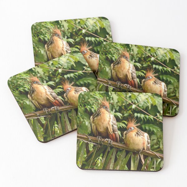 Item preview, Hoatzin of Lago Sandoval designed and sold by DWMMPhotography.