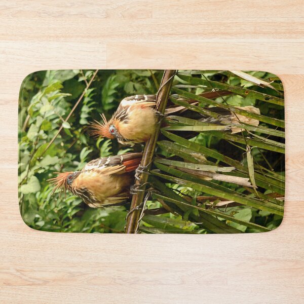 Item preview, Hoatzin of Lago Sandoval designed and sold by DWMMPhotography.