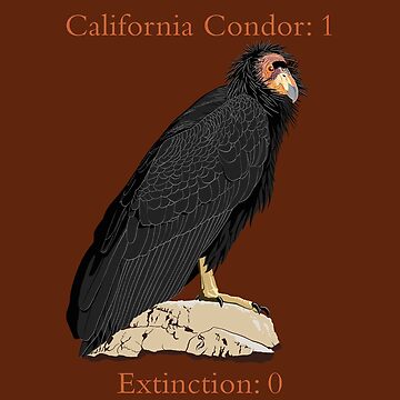 Artwork thumbnail, California Condor vs. Extinction (support the Los Angeles Zoo) by BennuBirdy