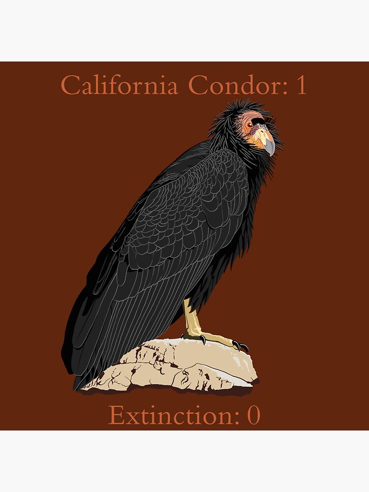 Thumbnail 3 of 3, Sticker, California Condor vs. Extinction (support the Los Angeles Zoo) designed and sold by BennuBirdy.